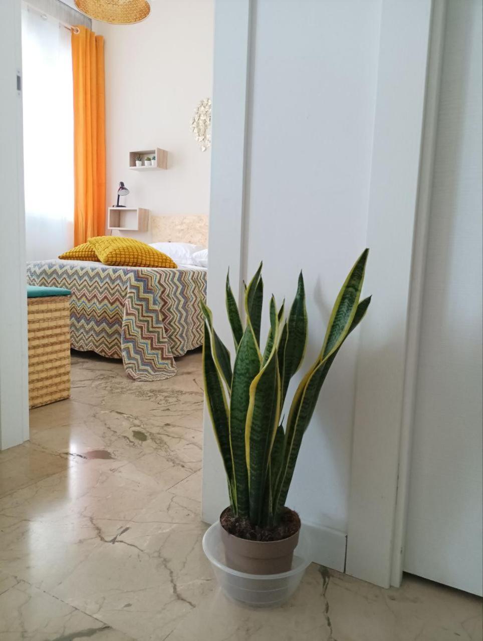 Blasius Home كاتانيا المظهر الخارجي الصورة